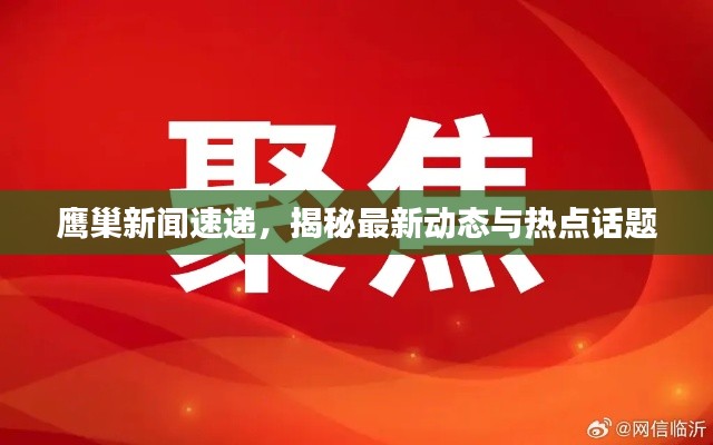鹰巢新闻速递，揭秘最新动态与热点话题