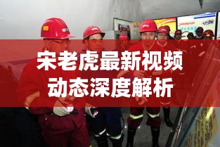 宋老虎最新视频动态深度解析