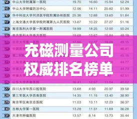 充磁测量公司权威排名榜单揭晓！