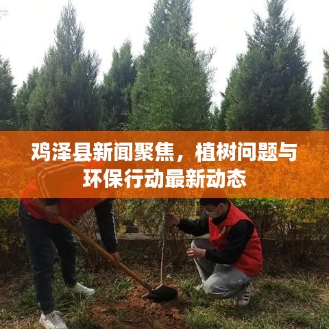 鸡泽县新闻聚焦，植树问题与环保行动最新动态