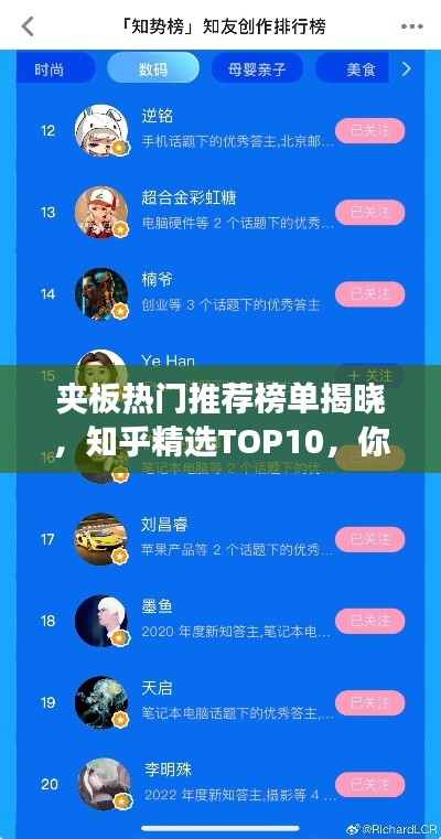 夹板热门推荐榜单揭晓，知乎精选TOP10，你选对了吗？