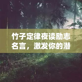 竹子定律夜读励志名言，激发你的潜能与毅力