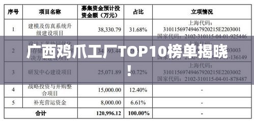 广西鸡爪工厂TOP10榜单揭晓！