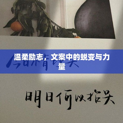 温柔励志，文案中的蜕变与力量