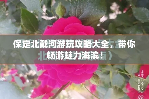 保定北戴河游玩攻略大全，带你畅游魅力海滨！