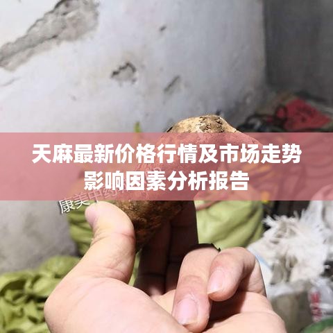 天麻最新价格行情及市场走势影响因素分析报告