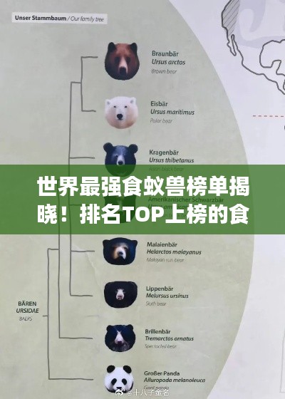 世界最强食蚁兽榜单揭晓！排名TOP上榜的食蚁兽盘点
