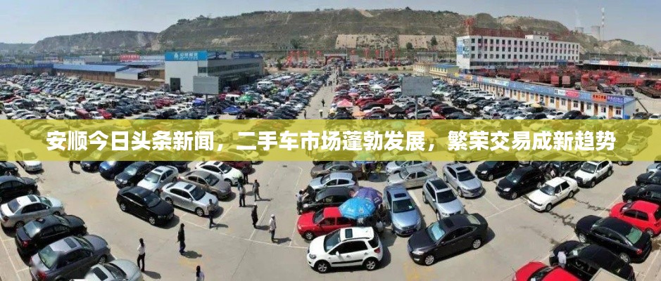 安顺今日头条新闻，二手车市场蓬勃发展，繁荣交易成新趋势