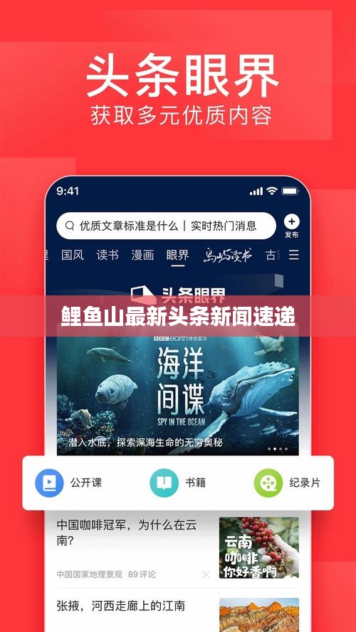 鲤鱼山最新头条新闻速递