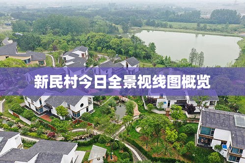 新民村今日全景视线图概览