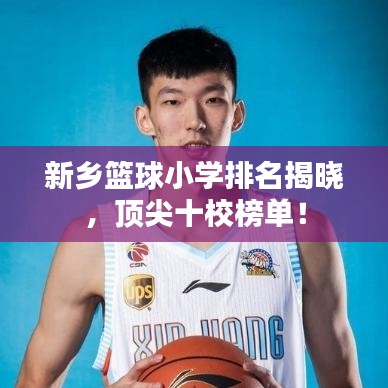 新乡篮球小学排名揭晓，顶尖十校榜单！