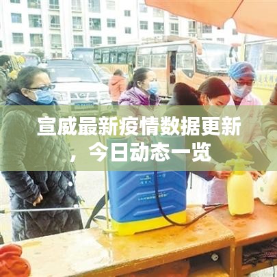 宣威最新疫情数据更新，今日动态一览