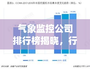 气象监控公司排行榜揭晓，行业影响力与竞争格局解析