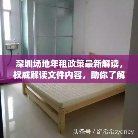 深圳场地年租政策最新解读，权威解读文件内容，助你了解最新政策动态