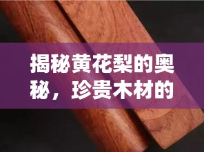 揭秘黄花梨的奥秘，珍贵木材的识别与特点解析