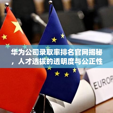 华为公司录取率排名官网揭秘，人才选拔的透明度与公正性探索
