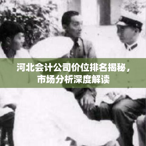 河北会计公司价位排名揭秘，市场分析深度解读