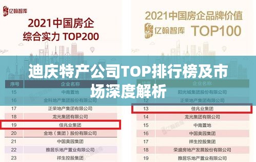 迪庆特产公司TOP排行榜及市场深度解析