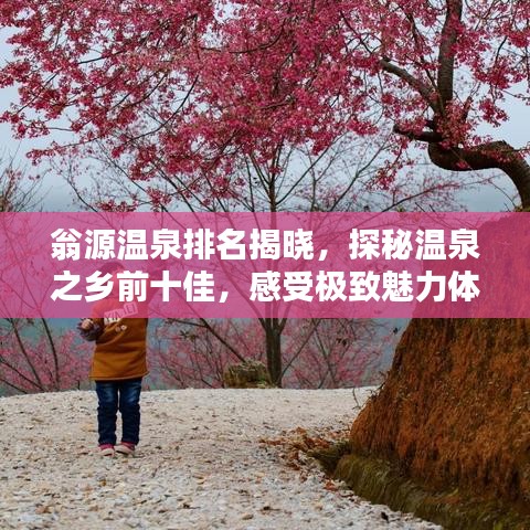 翁源温泉排名揭晓，探秘温泉之乡前十佳，感受极致魅力体验
