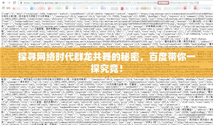 探寻网络时代群龙共舞的秘密，百度带你一探究竟！