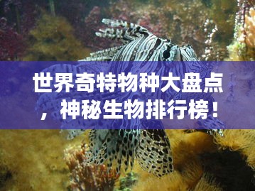 世界奇特物种大盘点，神秘生物排行榜！