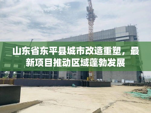 山东省东平县城市改造重塑，最新项目推动区域蓬勃发展