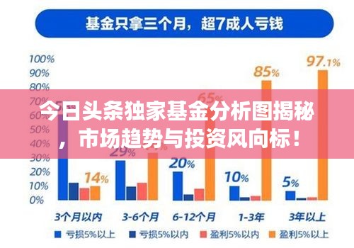 今日头条独家基金分析图揭秘，市场趋势与投资风向标！