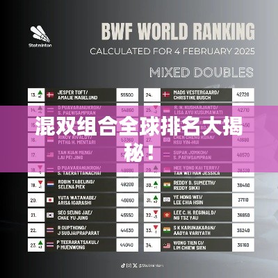 混双组合全球排名大揭秘！
