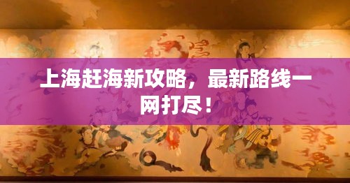 上海赶海新攻略，最新路线一网打尽！