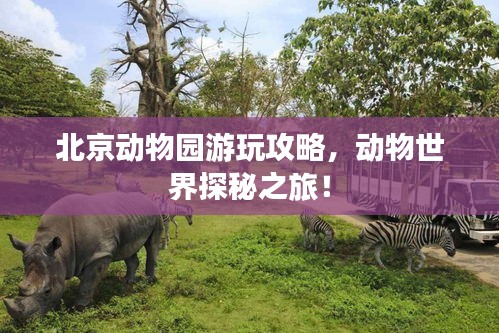 北京动物园游玩攻略，动物世界探秘之旅！