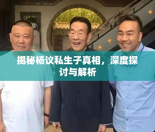 揭秘杨议私生子真相，深度探讨与解析