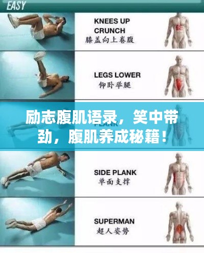 励志腹肌语录，笑中带劲，腹肌养成秘籍！