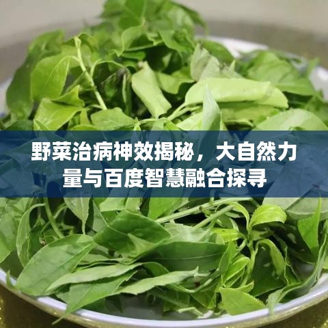 野菜治病神效揭秘，大自然力量与百度智慧融合探寻