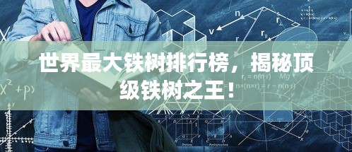 世界最大铁树排行榜，揭秘顶级铁树之王！