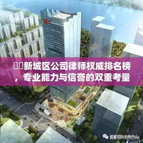 ​​新城区公司律师权威排名榜，专业能力与信誉的双重考量揭秘！