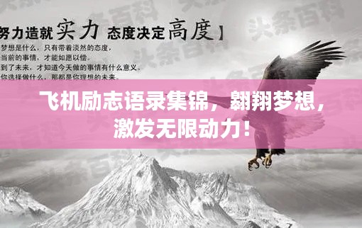 飞机励志语录集锦，翱翔梦想，激发无限动力！