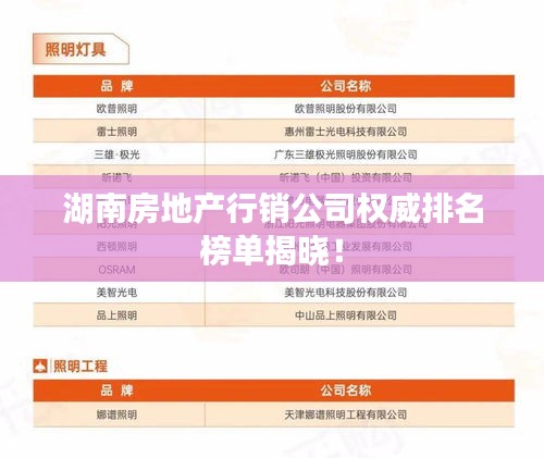 湖南房地产行销公司权威排名榜单揭晓！