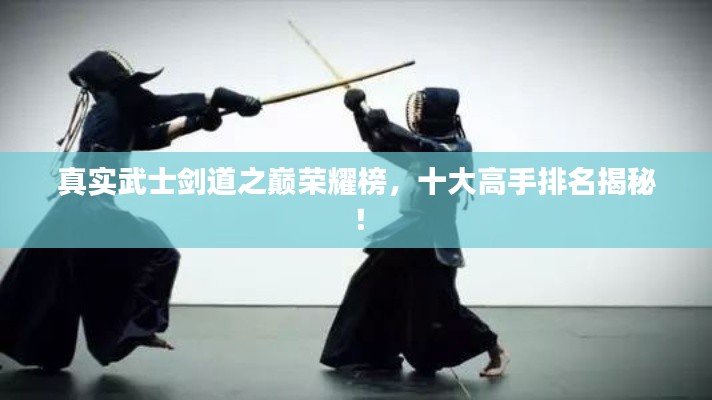 真实武士剑道之巅荣耀榜，十大高手排名揭秘！
