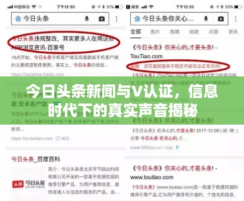 今日头条新闻与V认证，信息时代下的真实声音揭秘