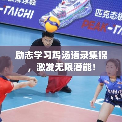 励志学习鸡汤语录集锦，激发无限潜能！