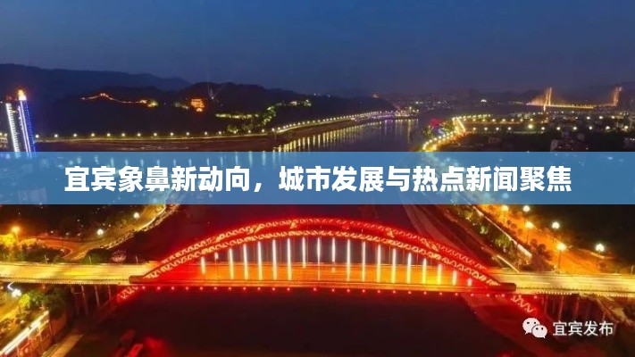 宜宾象鼻新动向，城市发展与热点新闻聚焦