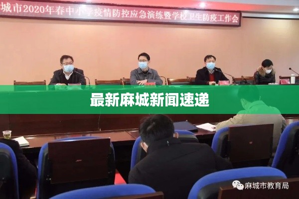 最新麻城新闻速递