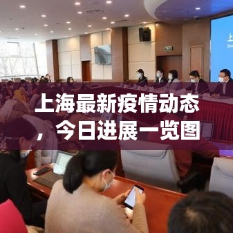 上海最新疫情动态，今日进展一览图