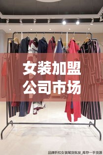 女装加盟公司市场排名及影响力深度解析