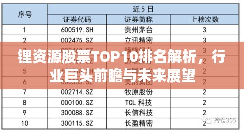 锂资源股票TOP10排名解析，行业巨头前瞻与未来展望