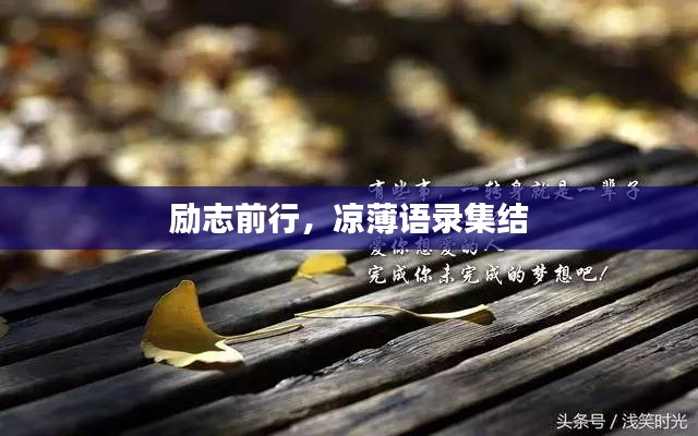 励志前行，凉薄语录集结