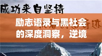 励志语录与黑社会的深度洞察，逆境中的力量之源