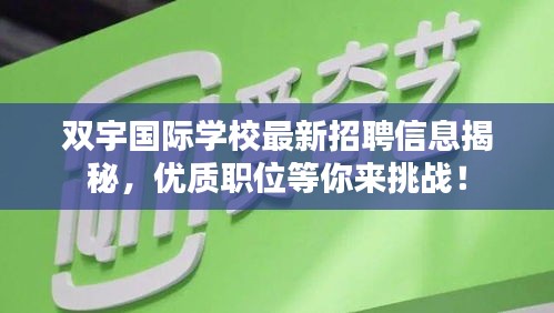 双宇国际学校最新招聘信息揭秘，优质职位等你来挑战！