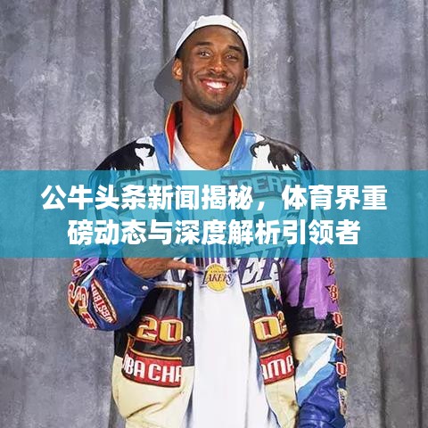 公牛头条新闻揭秘，体育界重磅动态与深度解析引领者