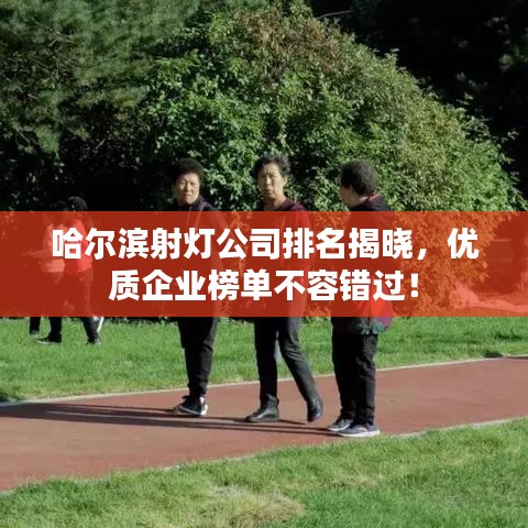 哈尔滨射灯公司排名揭晓，优质企业榜单不容错过！